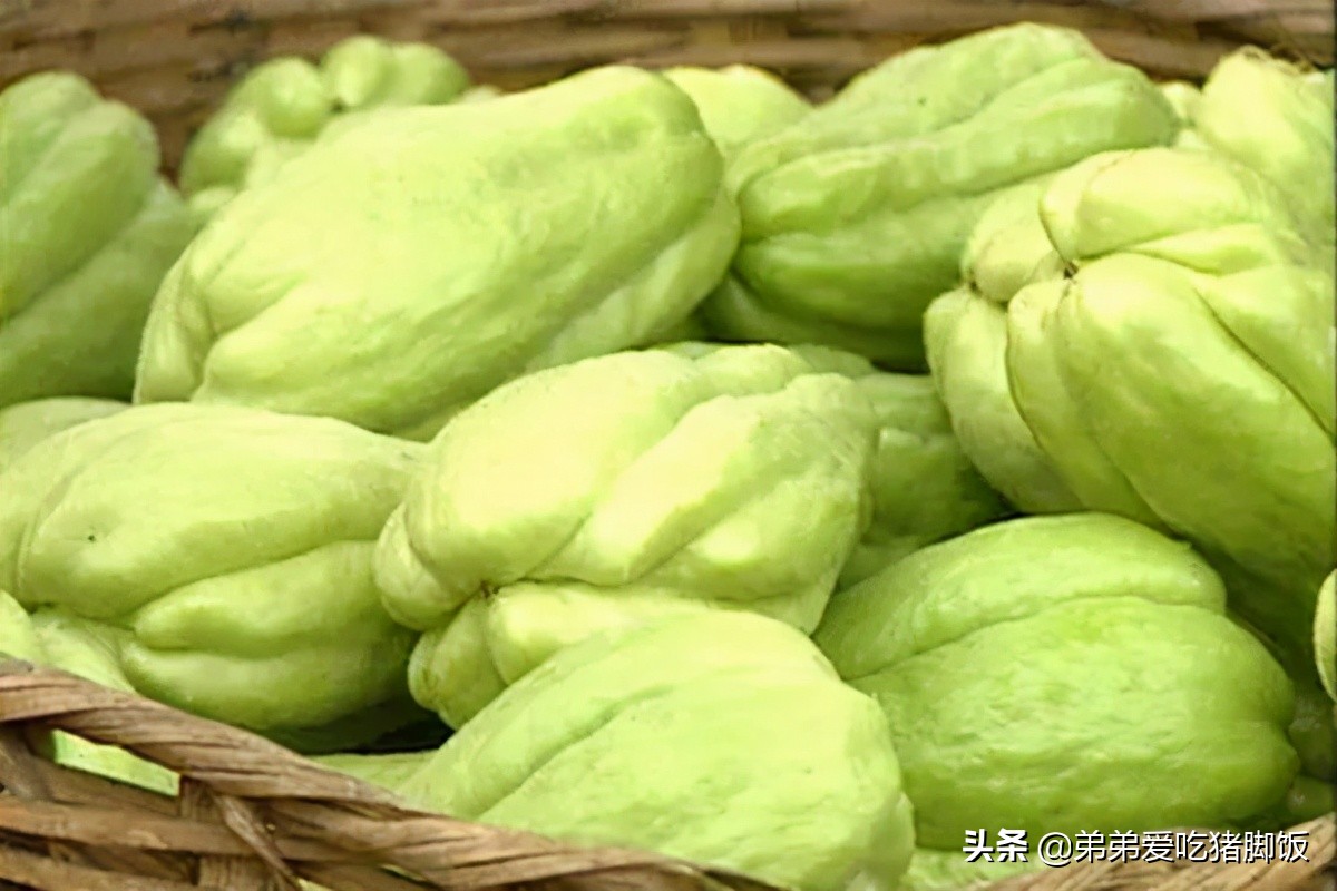 新丰佛手瓜的功效与作用,新丰佛手瓜成熟时间