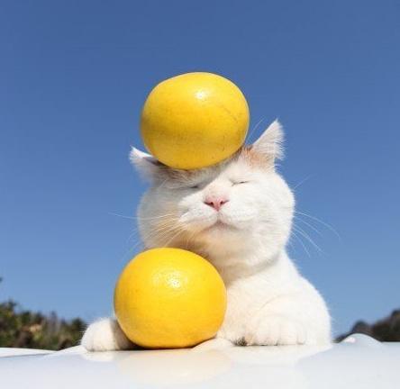 最流行的段子笑中含泪领悟人生,幽默风趣搞笑的小段子短句