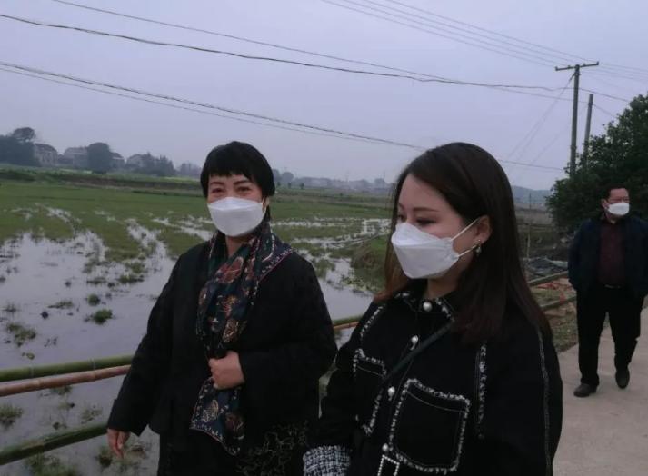 鐩婇槼棣栧瘜鍒樺渤钀嶅垬缁村钩,鐩婇槼棣栧瘜鏄皝鏈夊灏戜嚎瀹朵骇