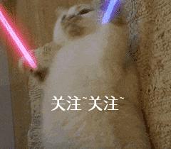 狗狗上火怎么办教你降火小技巧,狗狗降火