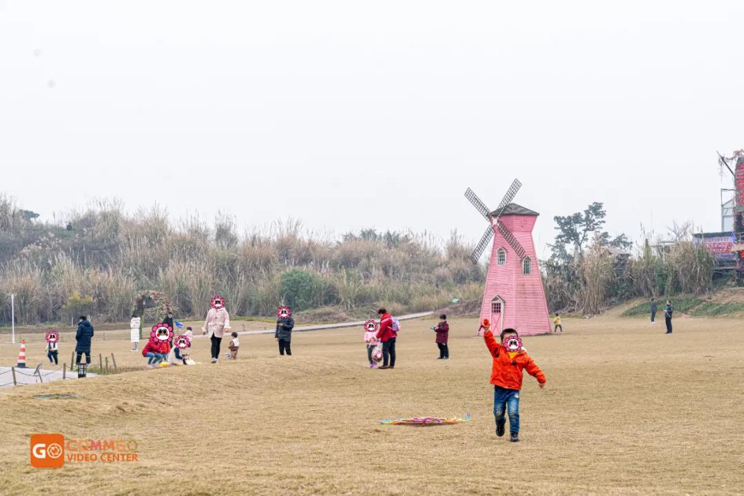重庆花市排名前十名,重庆花市哪里最便宜