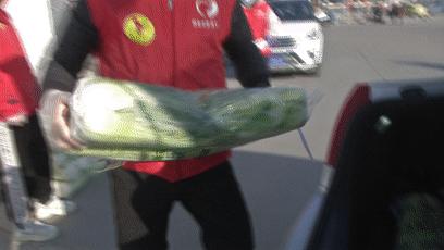 土豆白菜大萝卜，“蔚小代”让它们又抢手了