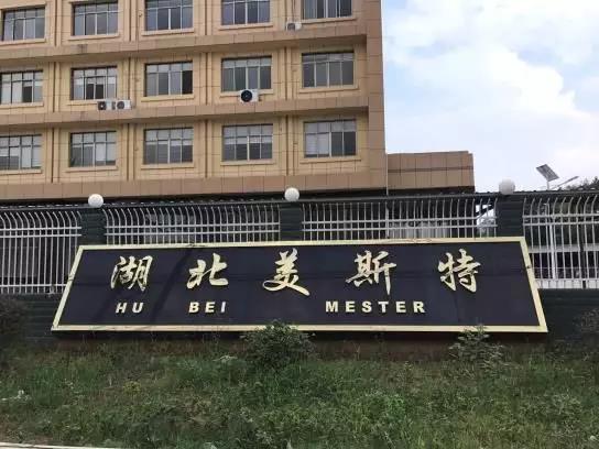 湖北荆州的一个强镇，曾经为公安县城，城镇化率高达63%远超仙桃