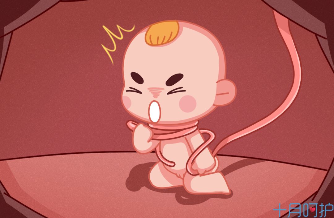 脐带绕颈几圈符合剖腹产指标,头位未入盆脐带绕颈两圈顺还是剖