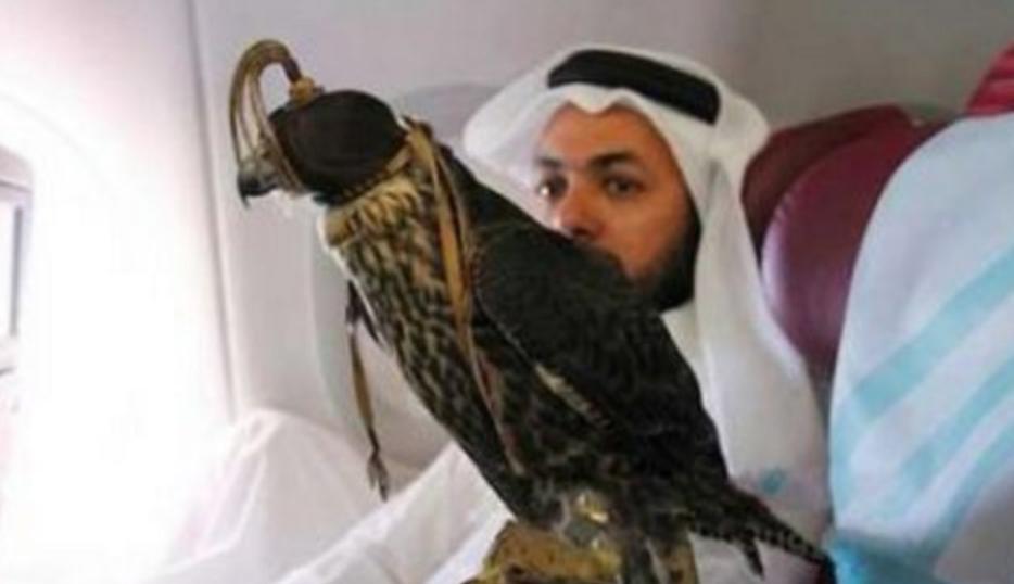 网友在朋友圈看到拥有自己护照的鸟，是受中东土豪追捧的宠物？