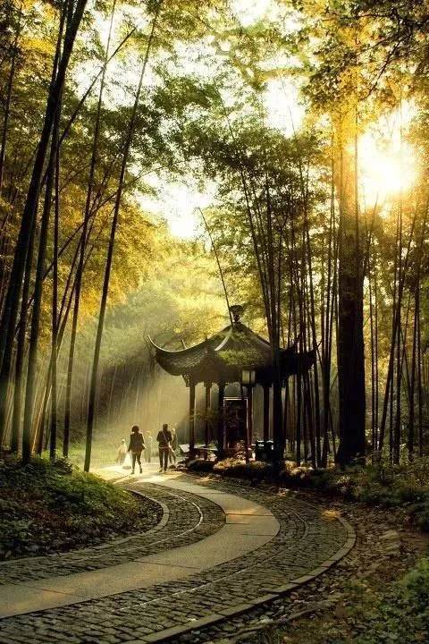 深秋的思念歌曲原唱,深秋的思念散文诗