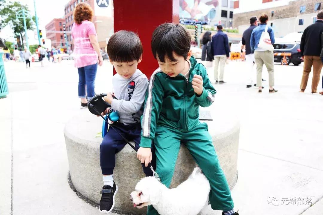 芝加哥及周边的好去处,芝加哥周边游玩