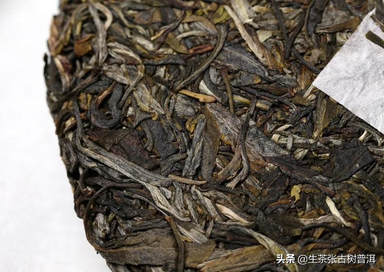 古树普洱茶知识专业讲解,普洱茶古树茶口感讲解