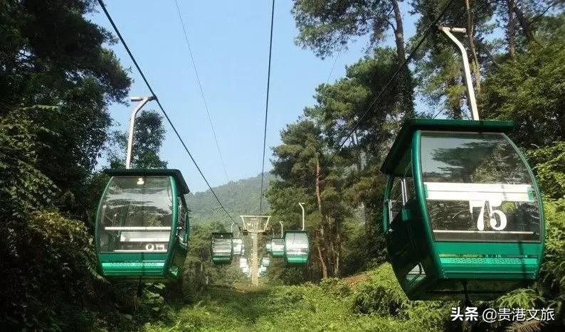 2020年度全国旅游年票发售开启,新年景点年票