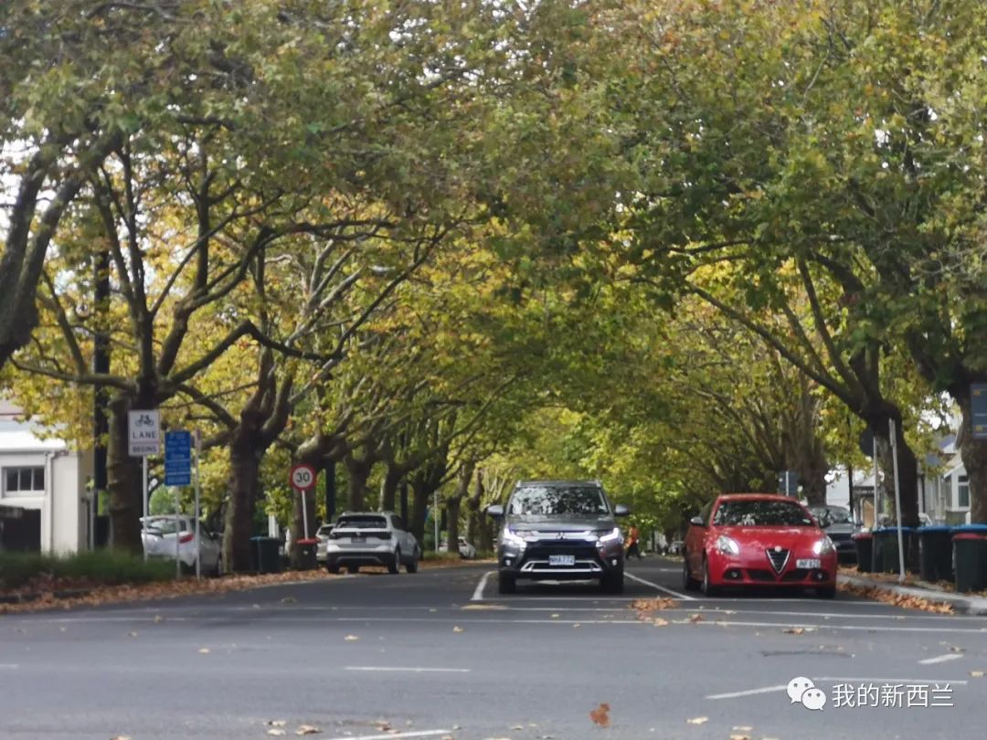 客人问我,你买房了没有?新西兰优步司机系列