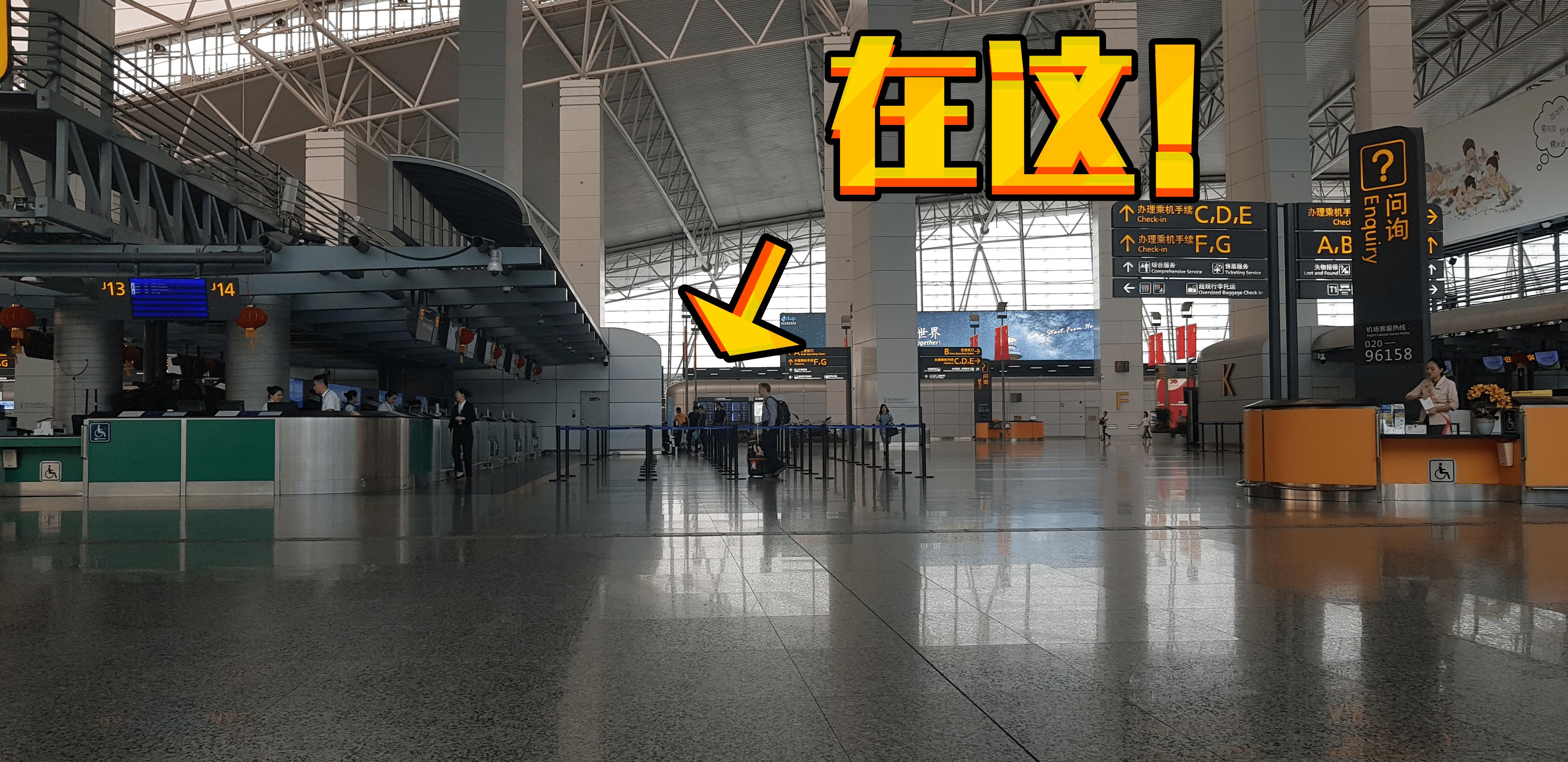 飞机去新加坡旅行 (新加坡旅游攻略航班)