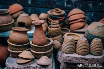 金桔树盆栽果子怎么处理,金桔树盆栽叶子变黄还能变绿吗