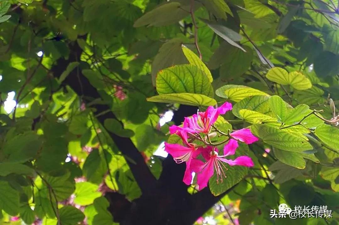 闲来有感完整版,闲来无事有感