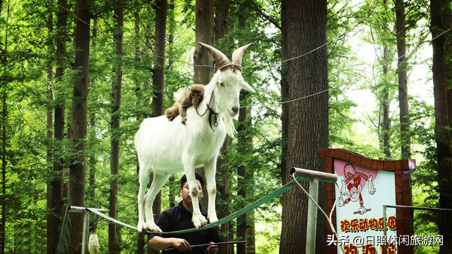 日照最美海滩,山东日照沙滩排行榜