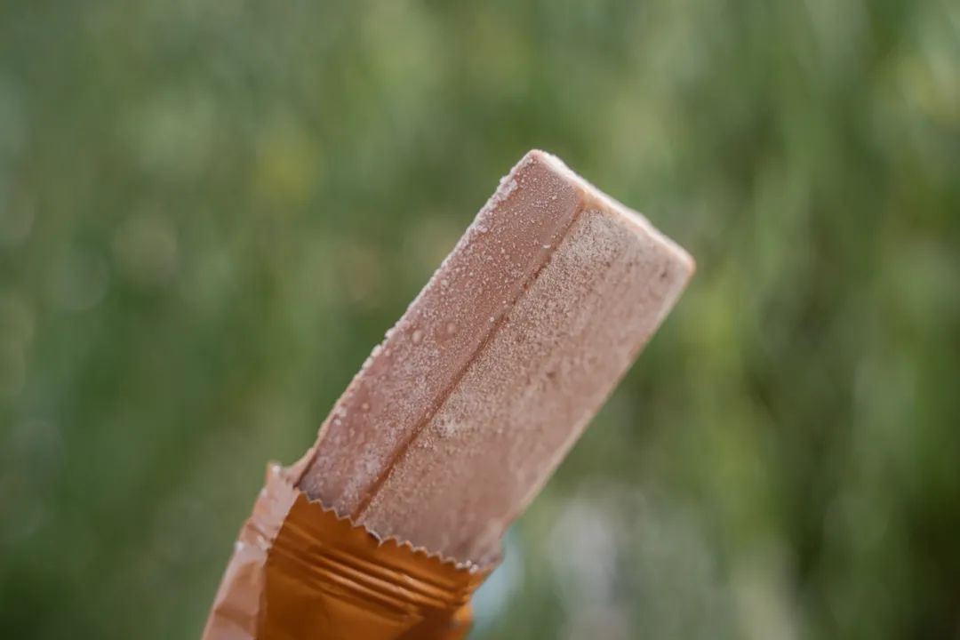 南方人买东北雪糕,南方人不知道东北雪糕