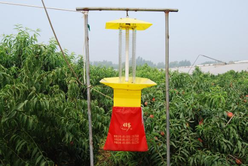 春季果园防蚜虫食心虫,蚜虫雨天怎么防治好呢图片