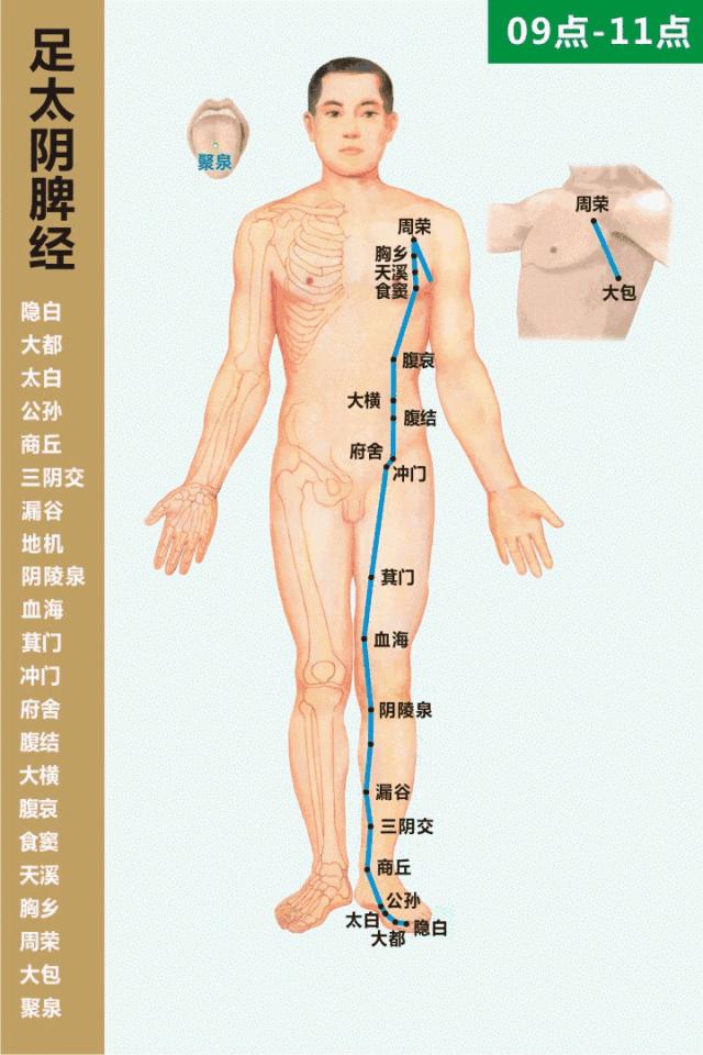 偏头痛头皮痛耳根痛是怎么回事,前额痛头顶痛后脑勺痛是什么原因