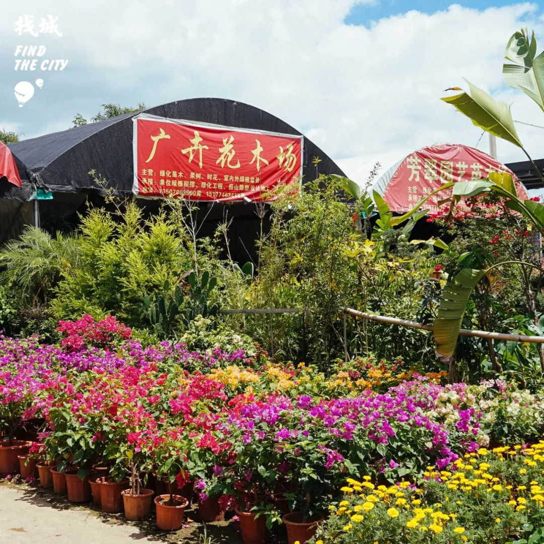 南宁拿货最便宜的市场,南宁最便宜的东西批发市场