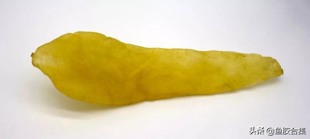 鱼鳔胶顶级,花胶鱼鳔图片