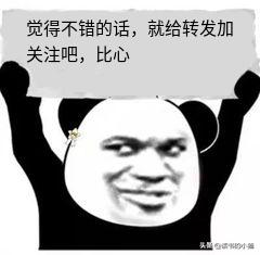 晁盖能力,晁盖战斗力