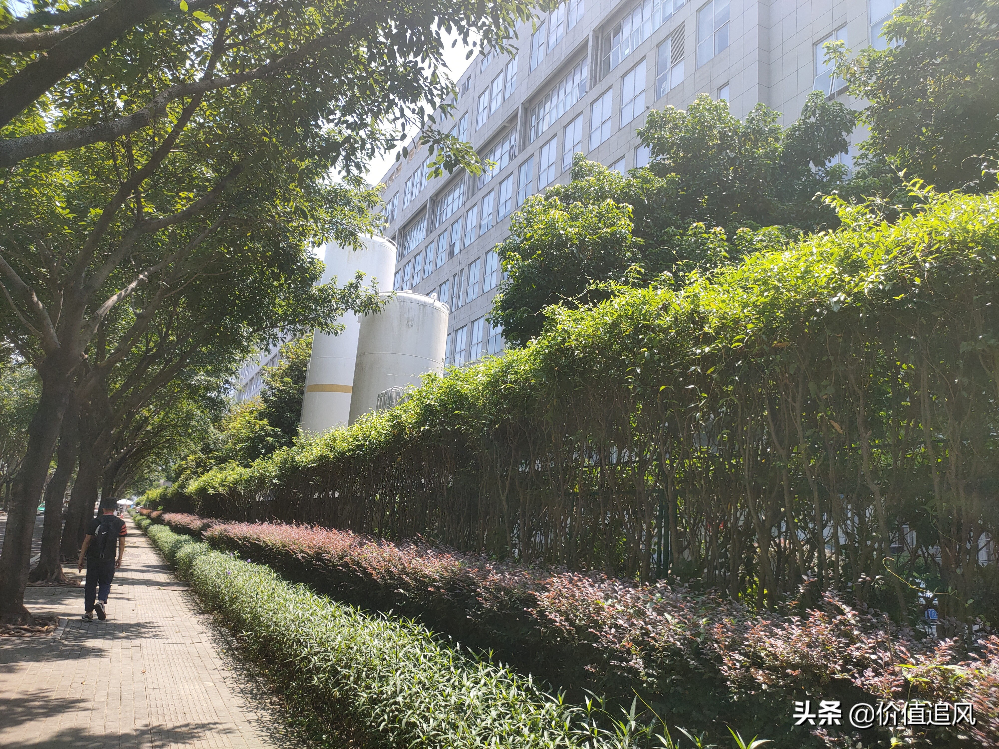 星网锐捷网络上市,星网锐捷未来5年估值