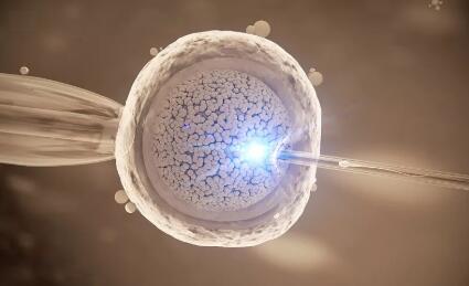 做试管婴儿需求,做试管婴儿的相关问题