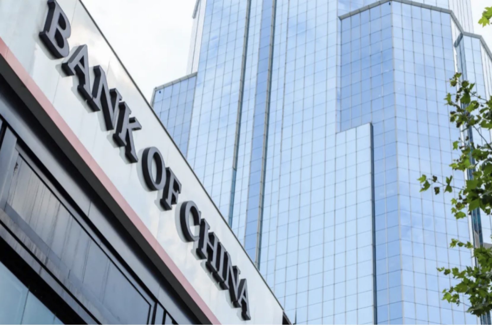 菜鸟无忧工作怎么样,菜鸟无忧信息可信吗