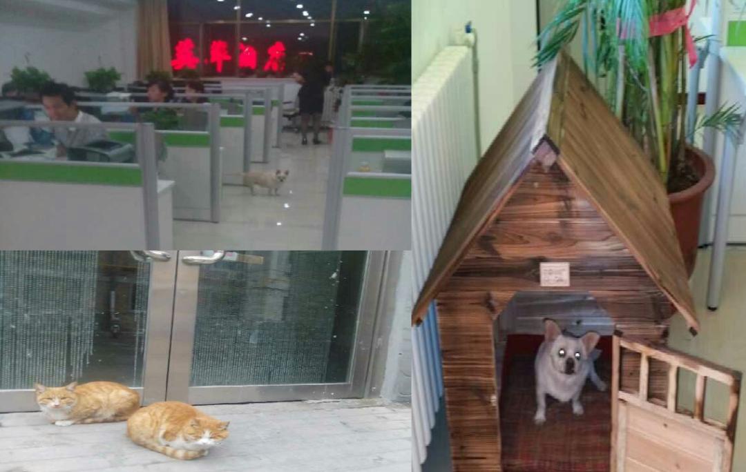 连收银员都宠！苹果、鼎泰丰等把员工「当人看」，有多大的力量？