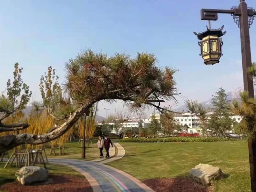 登封少林寺冬日,冬日登封龙山