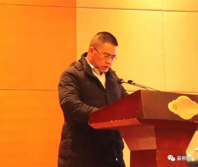 看桐城市发展怎么样,看桐城新闻