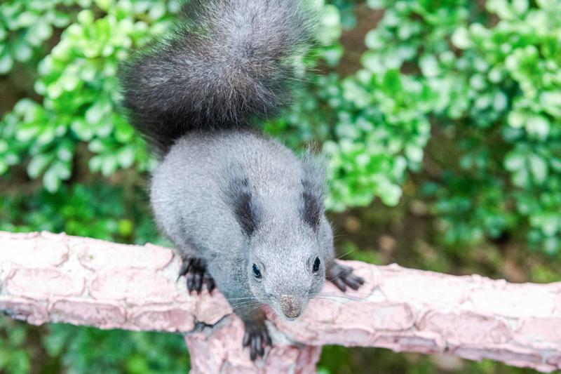 你知道广州有个百万葵园吗?四季都繁花似锦,景色让人流连忘返