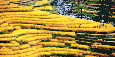 中国美食纪录片舌尖上的中国,舌尖上的中国之东北美食