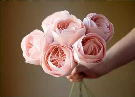 十大名贵花卉图片大全,十大名贵花卉家庭盆栽易养活的花