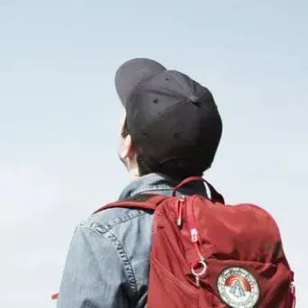 新型材料硅藻泥,硅藻泥科普