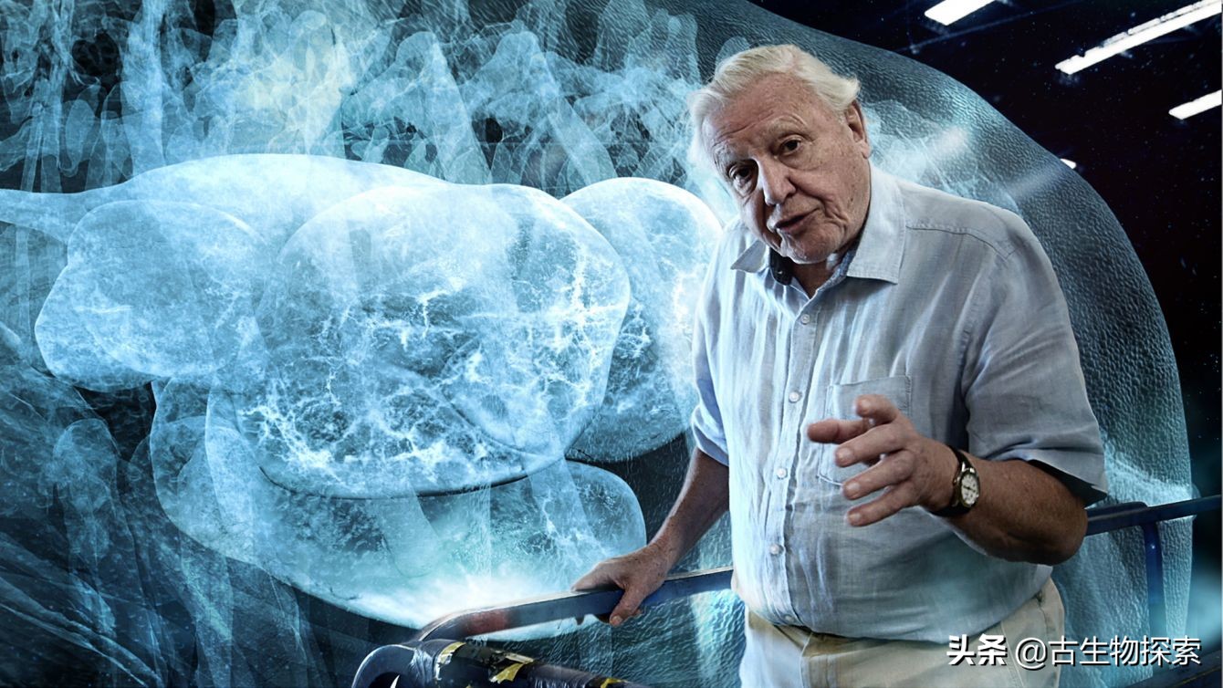 泰坦龙是最大的恐龙吗,世界上最高的恐龙是泰坦巨龙吗