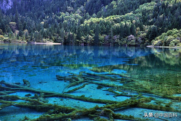 都江堰九寨沟个人游玩攻略,九寨沟全攻略