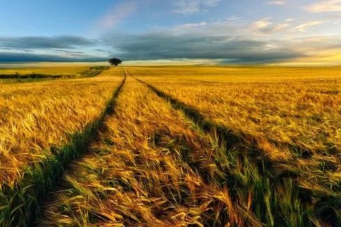 2021农资行业好做吗,农资行业良性竞争才能走得更长远