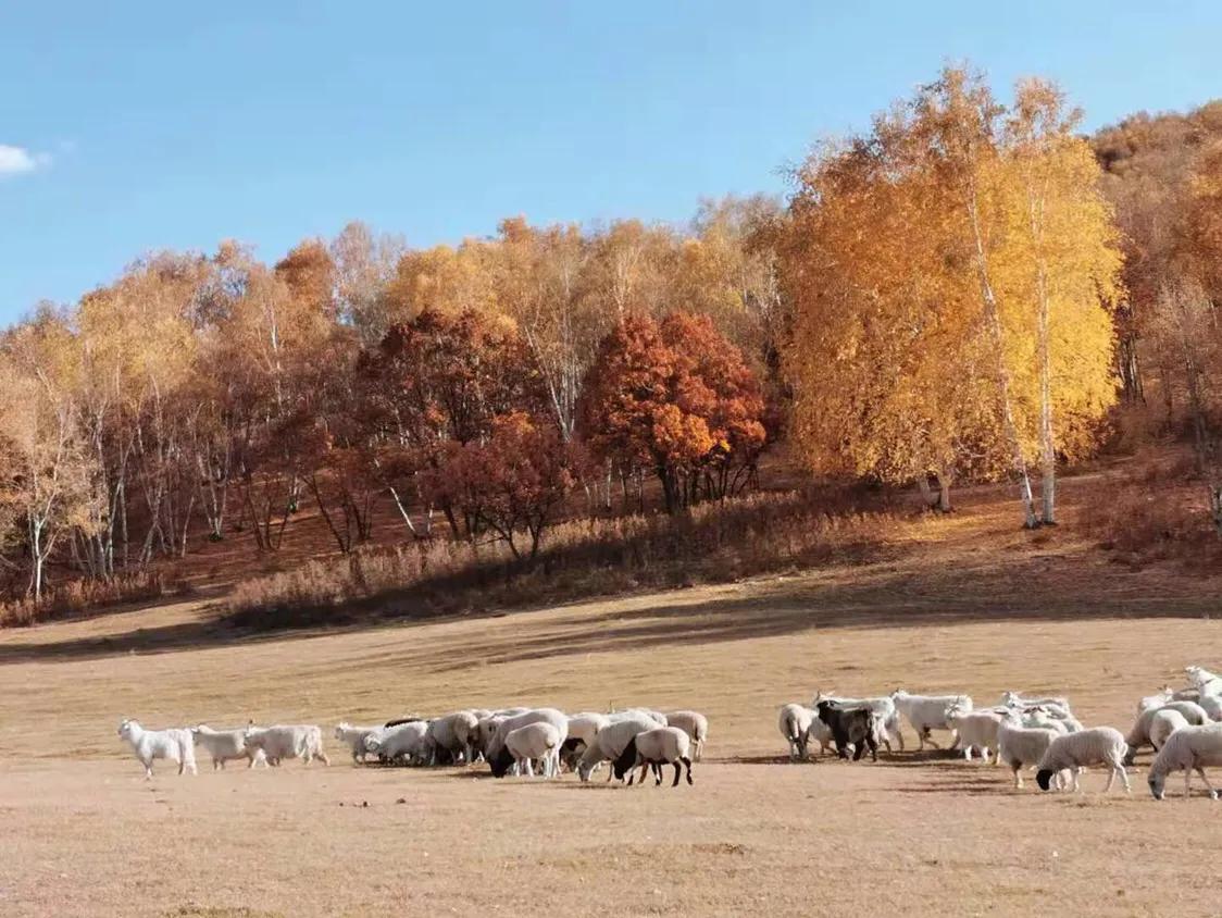 肾虚水肿的病因是什么,肝郁肾虚的症状和病因