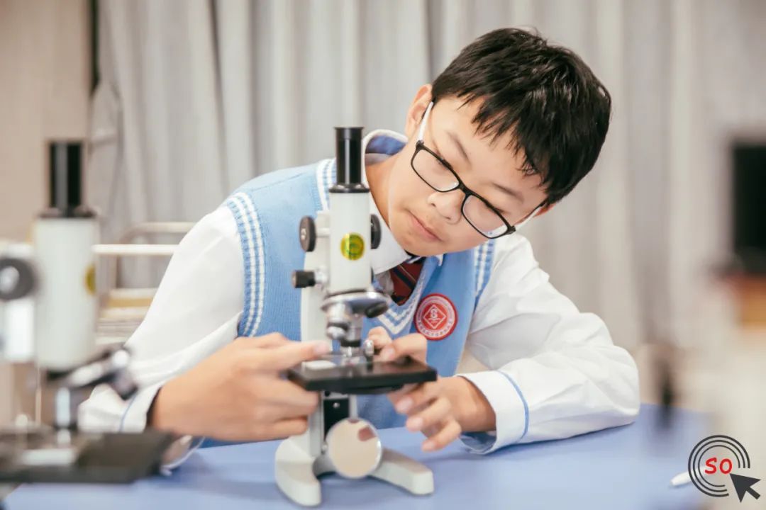 长城新城学校二期,长城新城校区