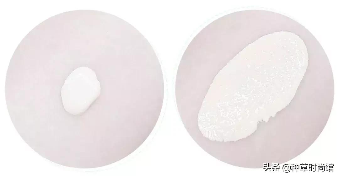 测评500ml粉底液,测评500块钱粉底液