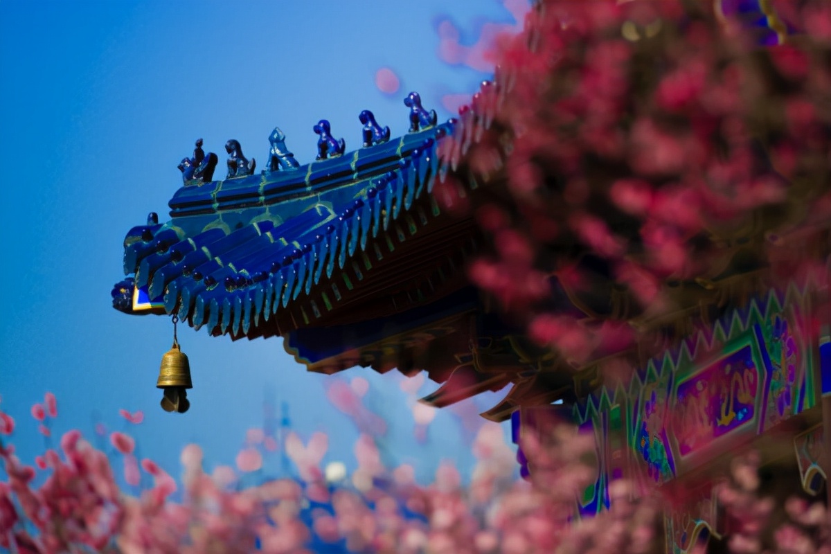 警惕！南京3所“野鸡大学”害人不浅，家长：教育部为何不取缔？