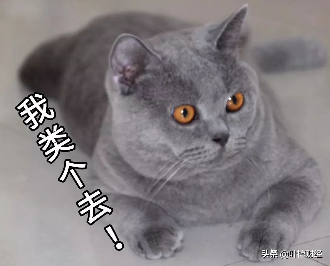 游资风云06,游资温州帮有没有听说过