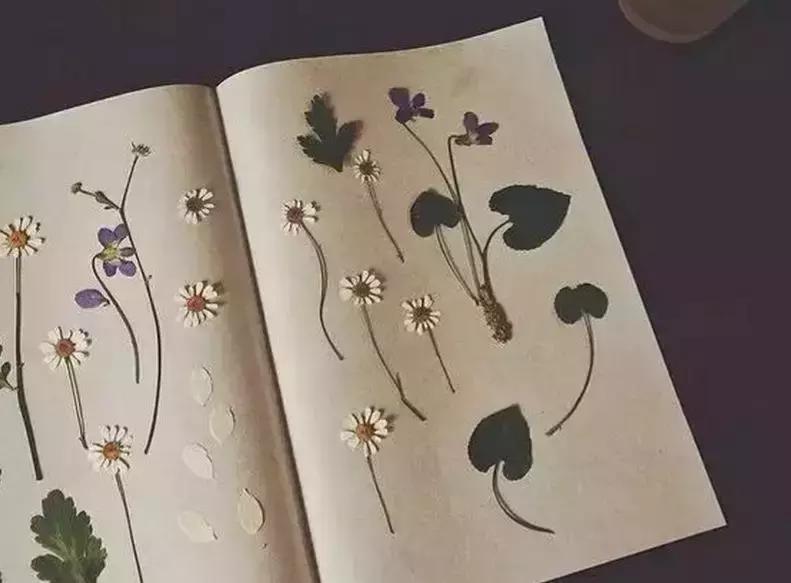 情人节收到的花别扔,情人节花别丢