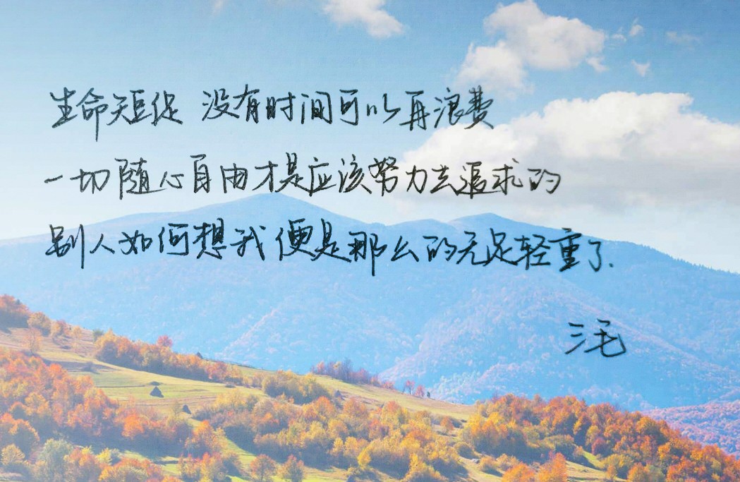 一杯沧海梦里花——三毛《梦里花落知多少》的细腻柔情