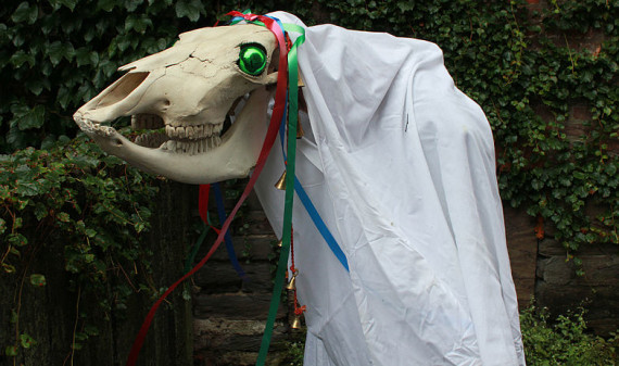 万圣夜是过早上还是过晚上,万圣夜为什么和万圣节差24天