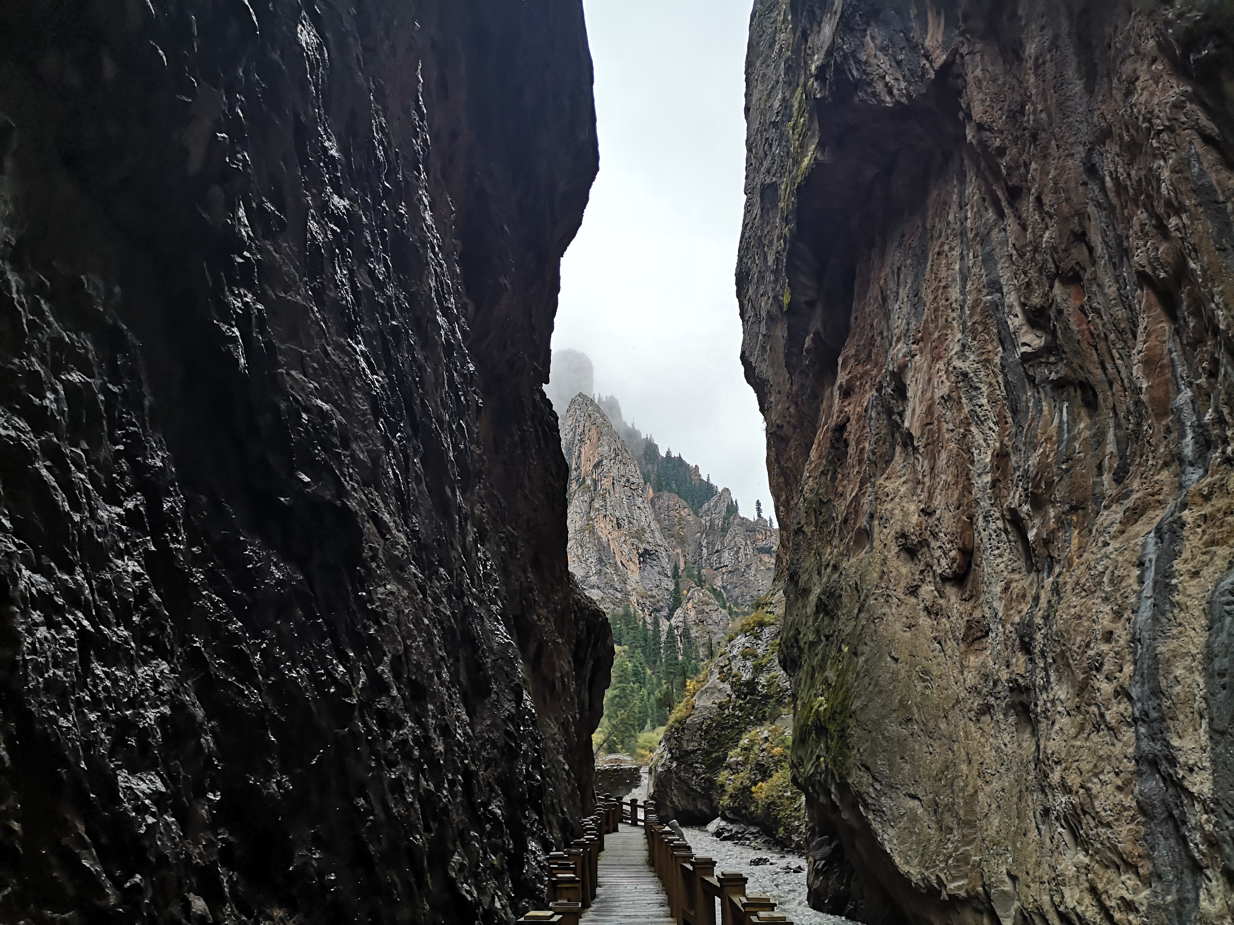 则岔石林游记,尕海湖和则岔石林