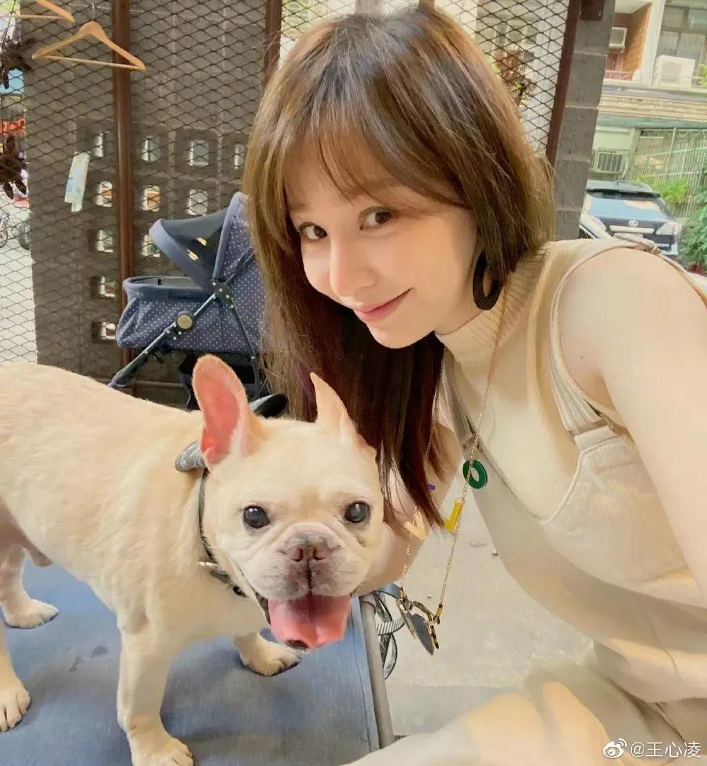 王心凌逆袭视频,从爆红到被抛弃