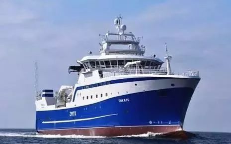 新西兰海参官网,新西兰金刺参如何辨真假