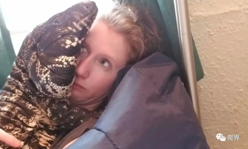 滴血的皮革奢饰品原料解密