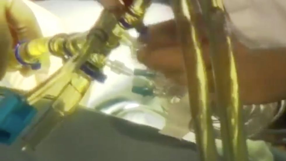 一对亚洲科学家夫妻，冷冻2岁女儿的大脑：希望未来还能见她一面